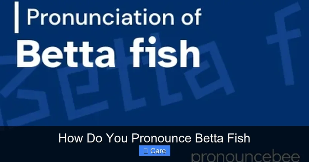 How Do You Pronounce Betta Fish