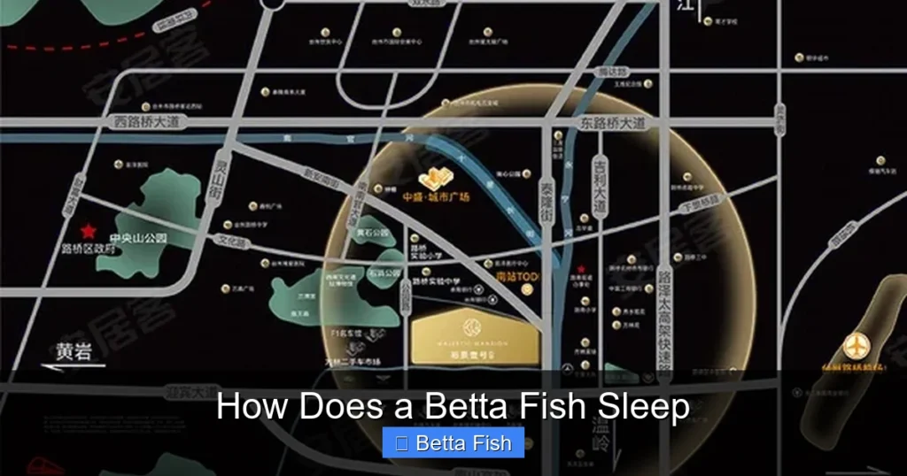 How Does a Betta Fish Sleep