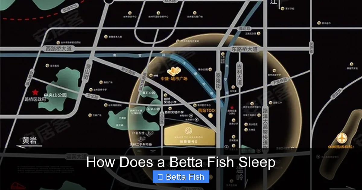 How Does a Betta Fish Sleep