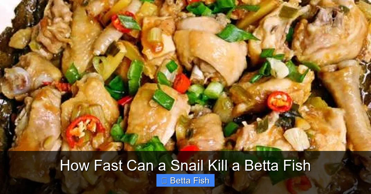 How Fast Can a Snail Kill a Betta Fish