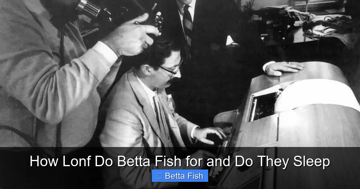 How Lonf Do Betta Fish for and Do They Sleep