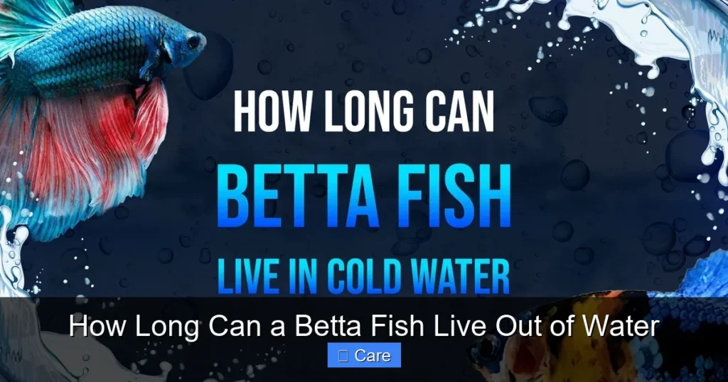 How Long Can a Betta Fish Live Out of Water