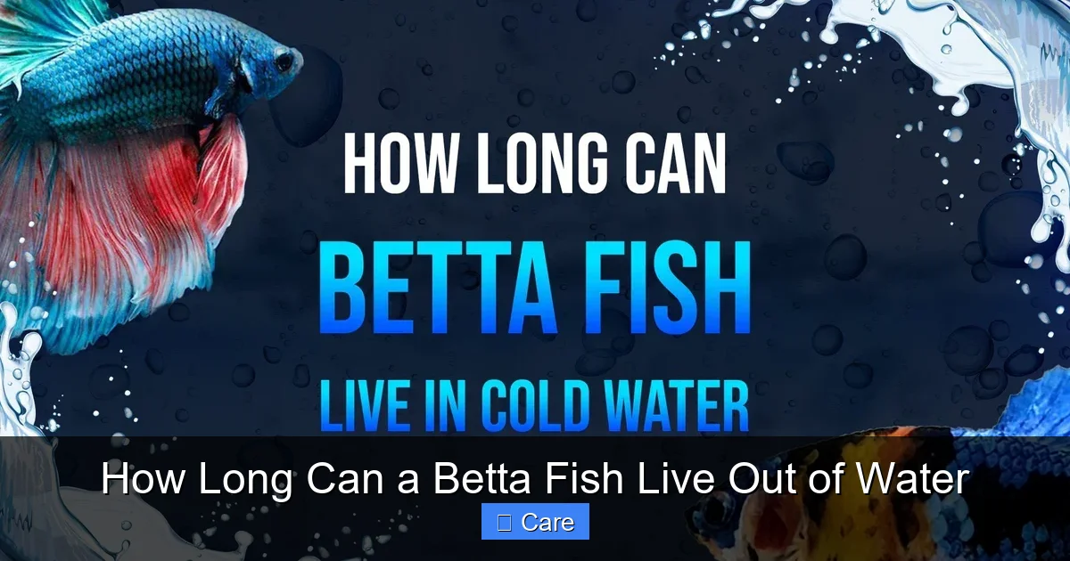 How Long Can a Betta Fish Live Out of Water