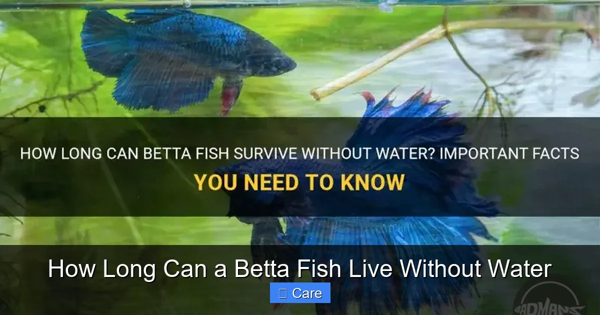 How Long Can a Betta Fish Live Without Water