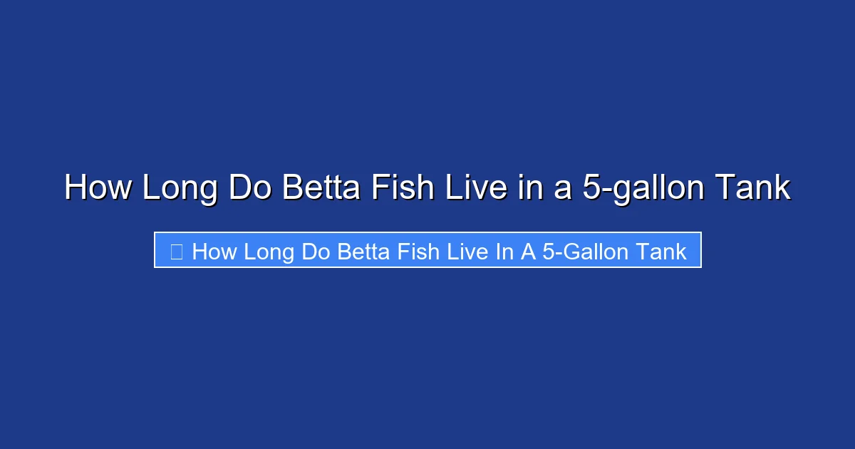 How Long Do Betta Fish Live in a 5-gallon Tank