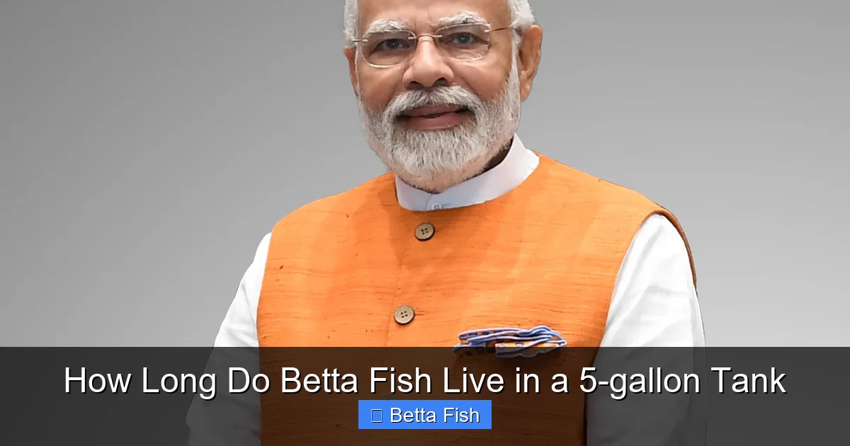 How Long Do Betta Fish Live in a 5-gallon Tank