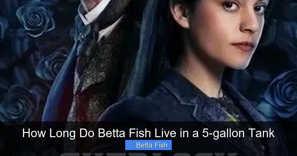 How Long Do Betta Fish Live in a 5-gallon Tank