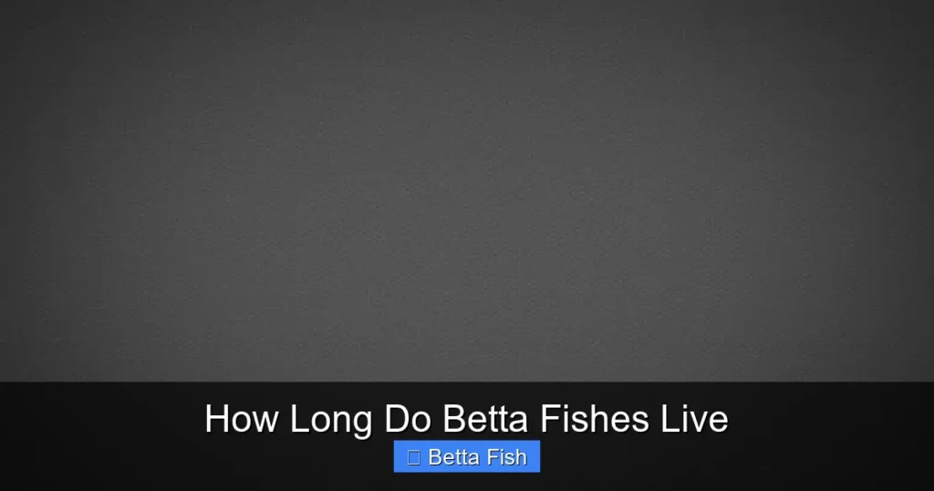 How Long Do Betta Fishes Live