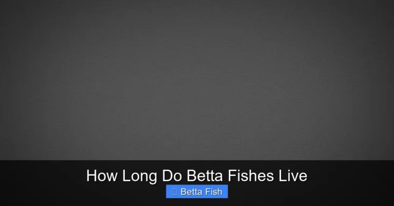 How Long Do Betta Fishes Live