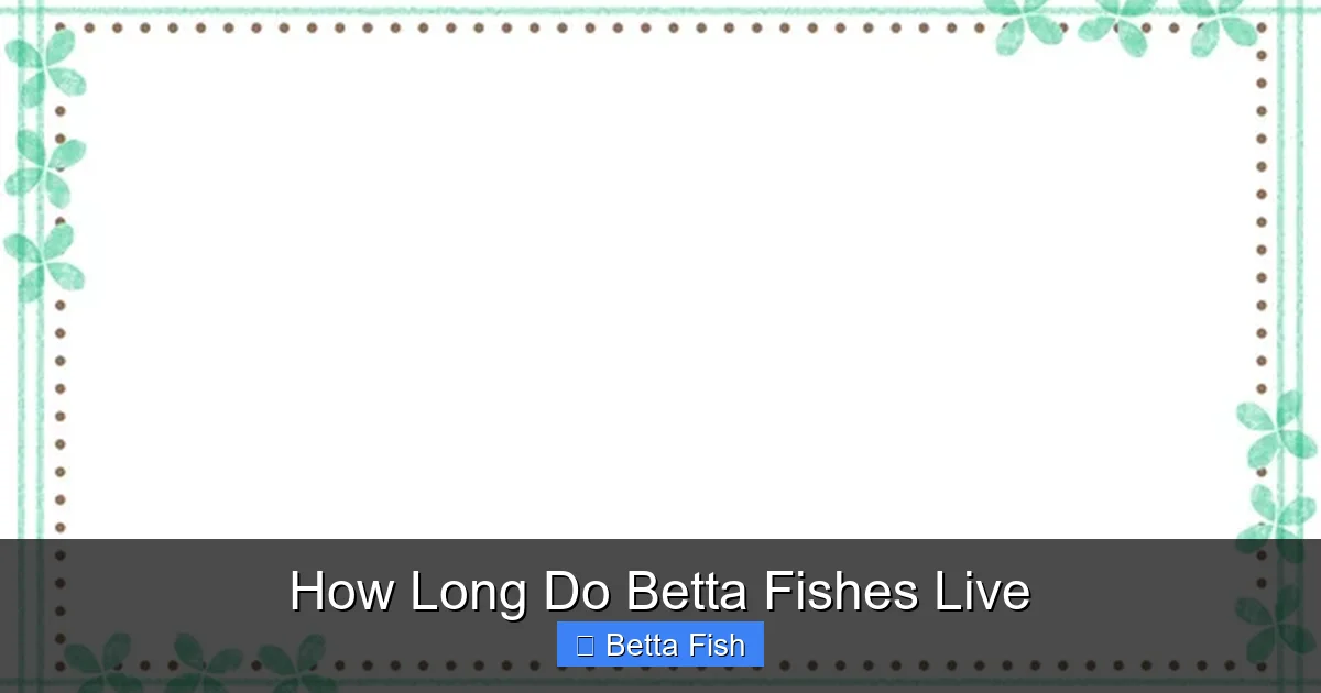 How Long Do Betta Fishes Live