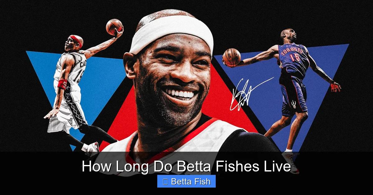 How Long Do Betta Fishes Live