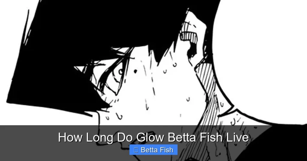 How Long Do Glow Betta Fish Live