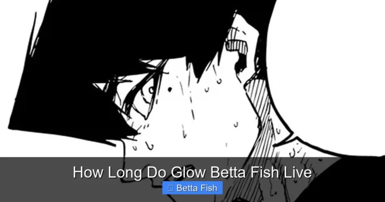 How Long Do Glow Betta Fish Live