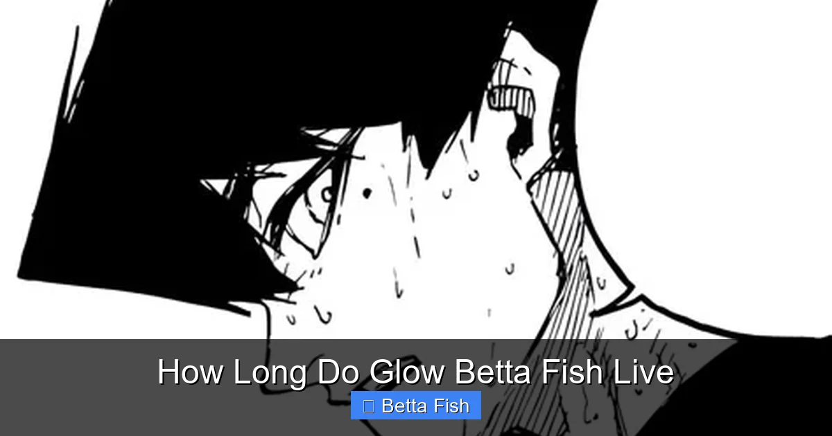 How Long Do Glow Betta Fish Live