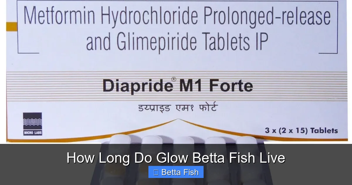 How Long Do Glow Betta Fish Live