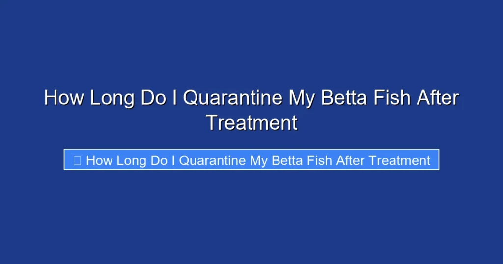 How Long Do I Quarantine My Betta Fish After Treatment