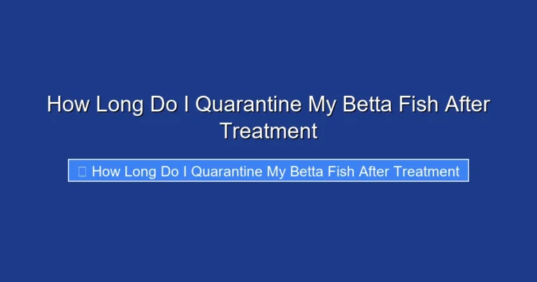 How Long Do I Quarantine My Betta Fish After Treatment