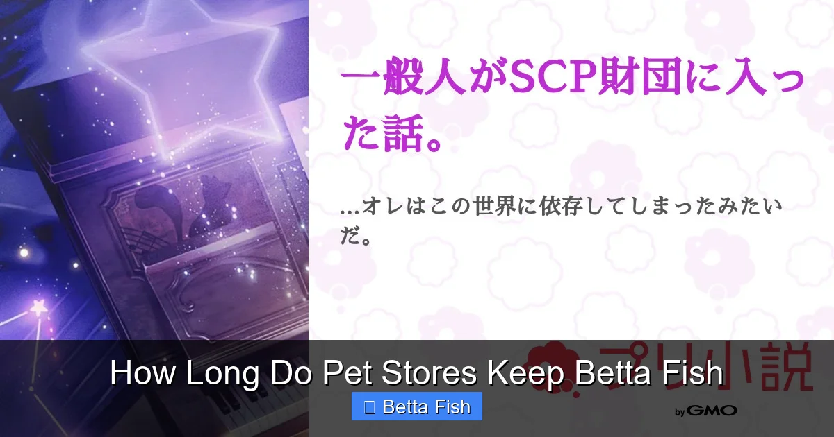 How Long Do Pet Stores Keep Betta Fish