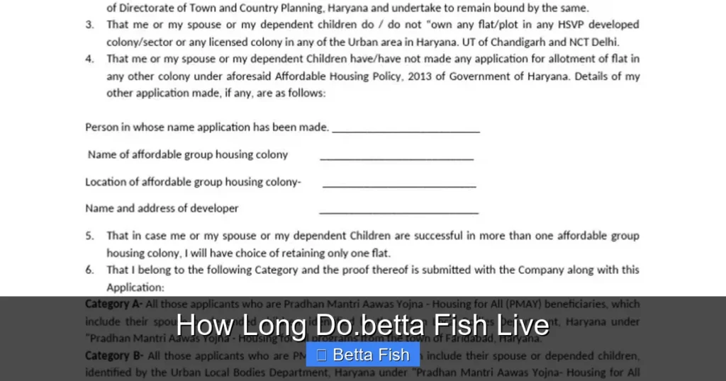 How Long Do.betta Fish Live