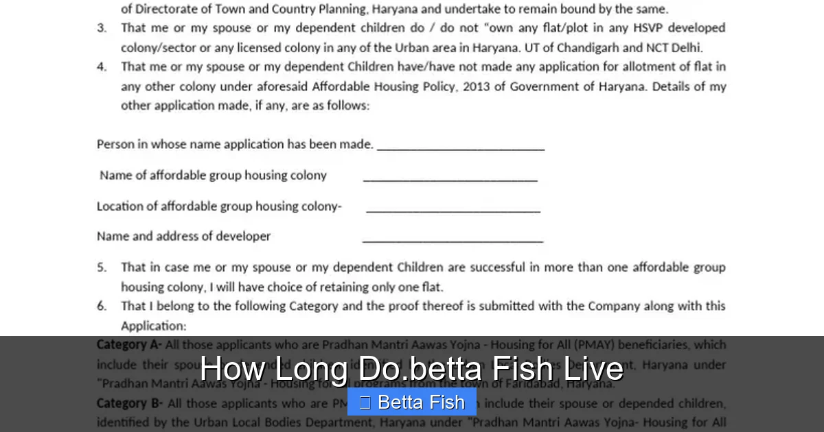 How Long Do.betta Fish Live