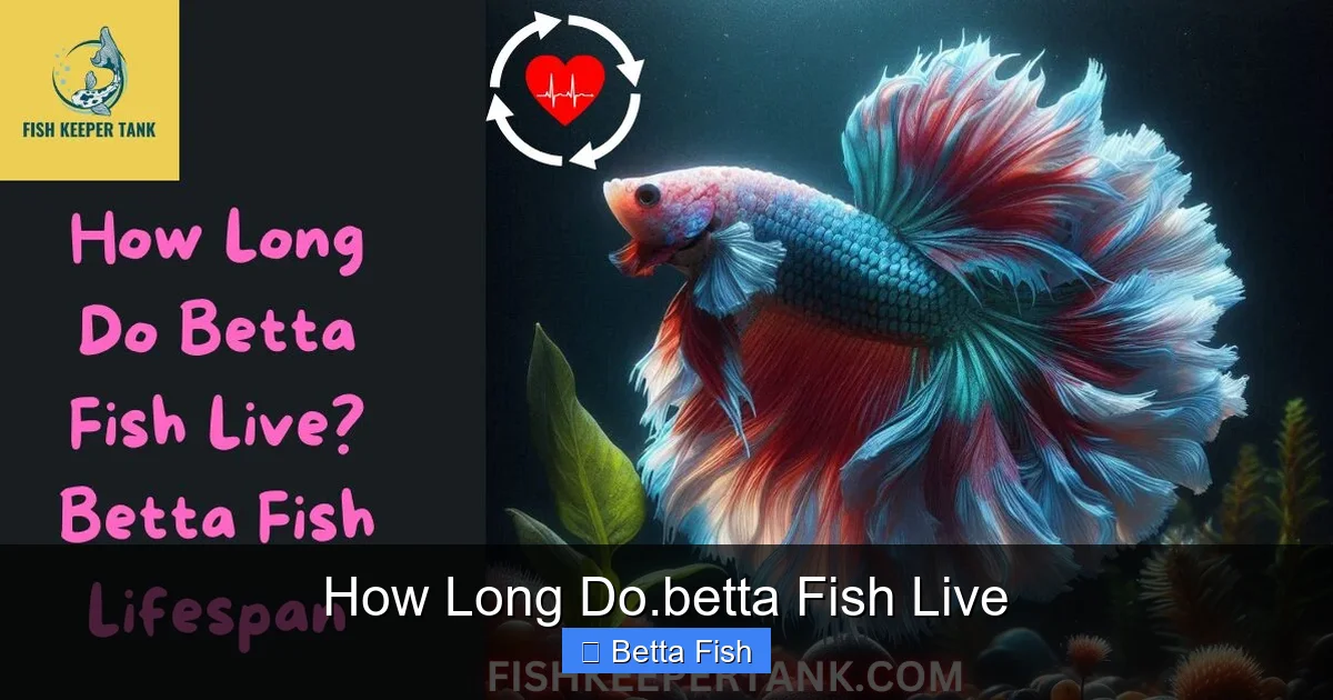 How Long Do.betta Fish Live