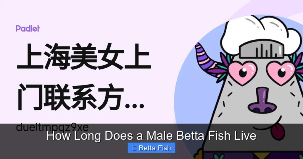 How Long Does a Male Betta Fish Live