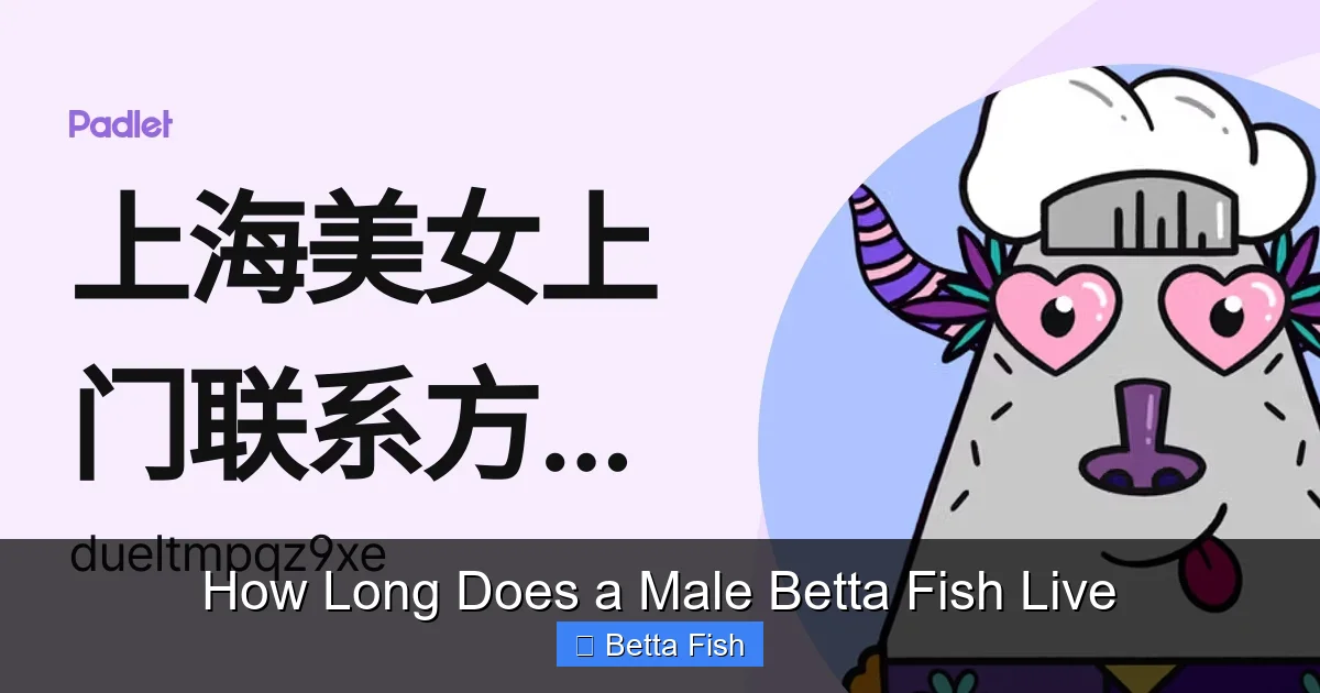 How Long Does a Male Betta Fish Live