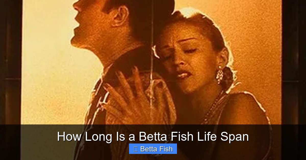 How Long Is a Betta Fish Life Span
