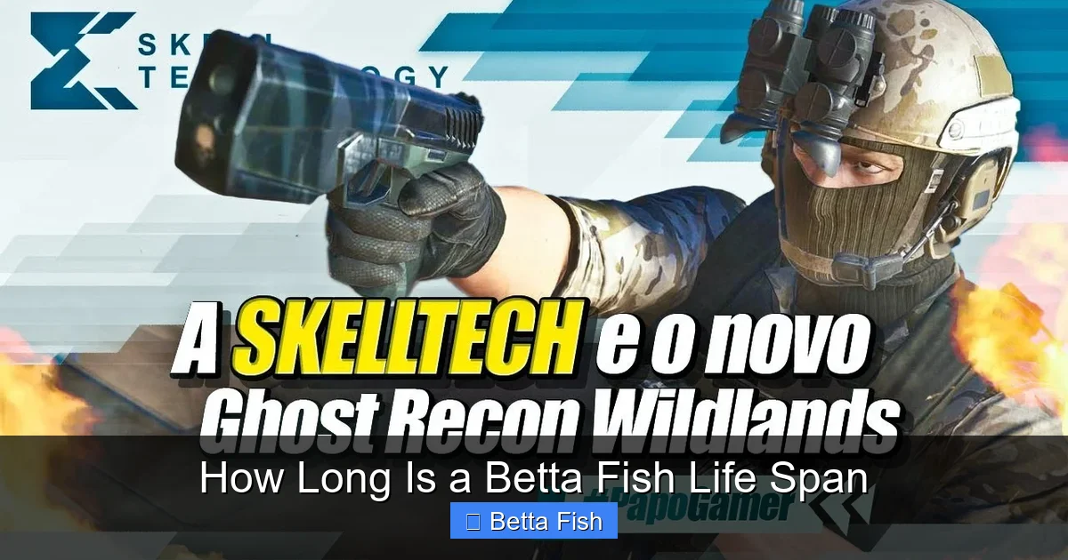 How Long Is a Betta Fish Life Span