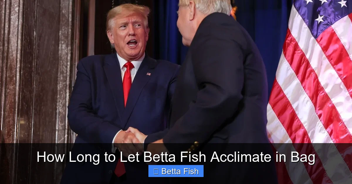 How Long to Let Betta Fish Acclimate in Bag