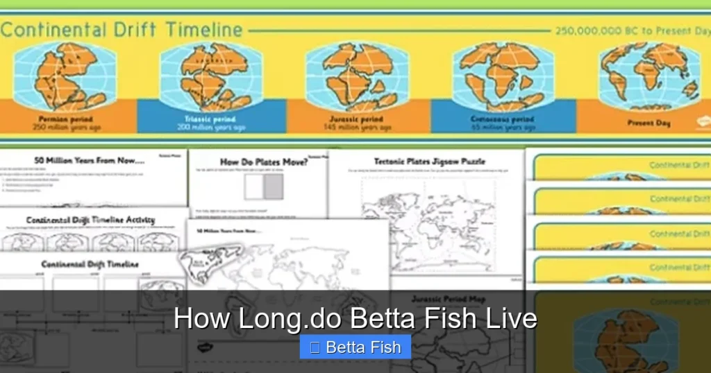 How Long.do Betta Fish Live