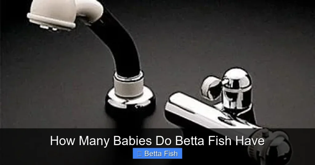 How Many Babies Do Betta Fish Have