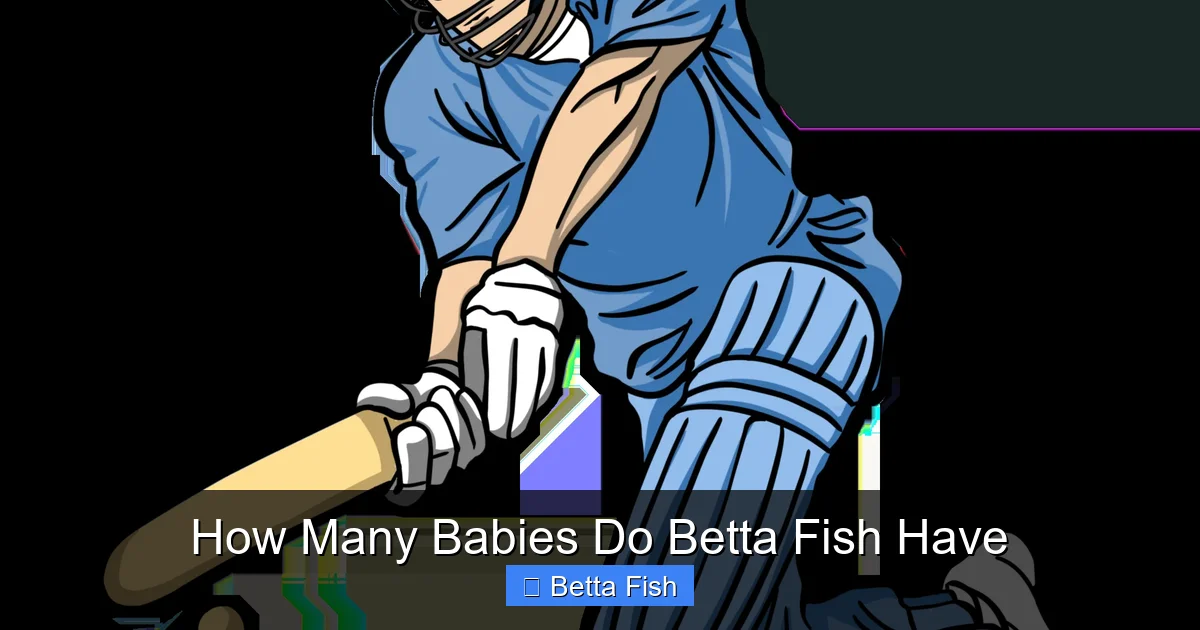 How Many Babies Do Betta Fish Have