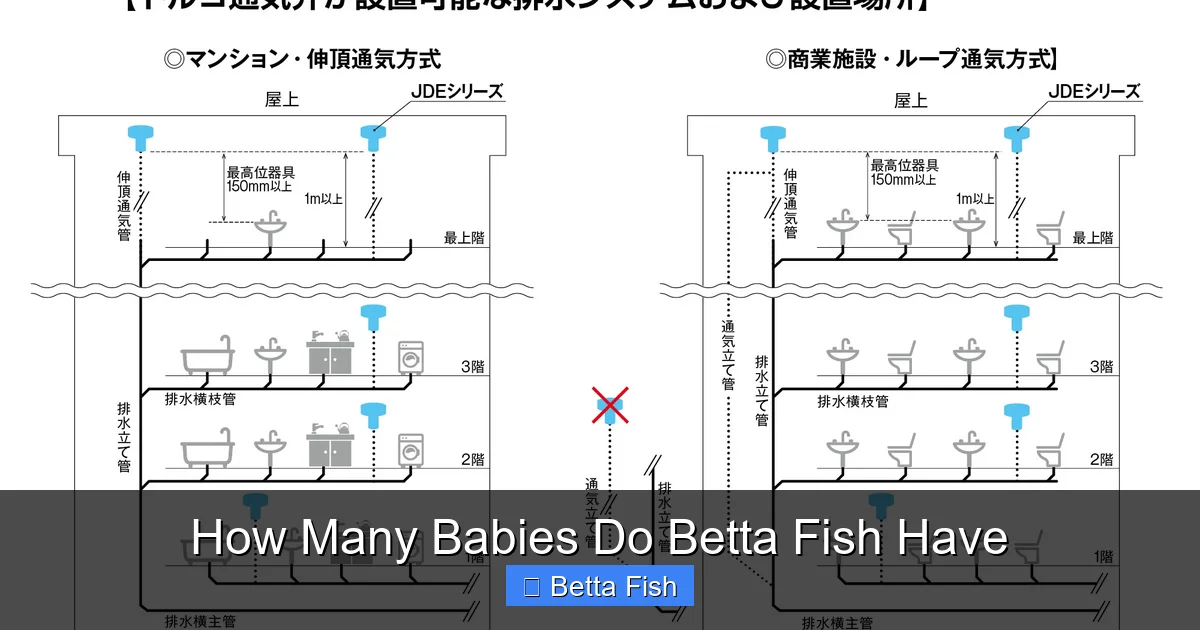 How Many Babies Do Betta Fish Have