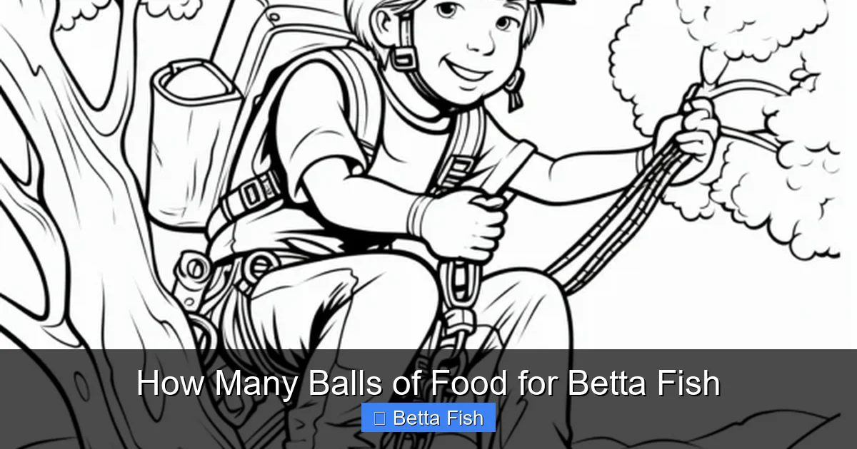 How Many Balls of Food for Betta Fish