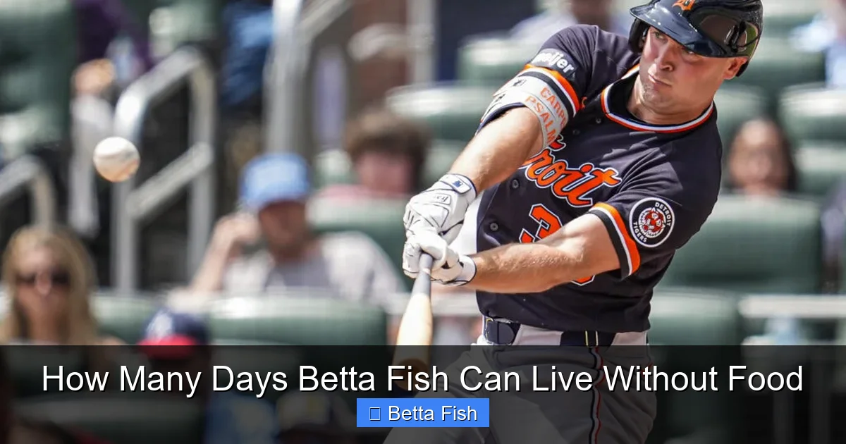 How Many Days Betta Fish Can Live Without Food