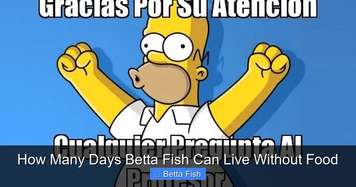 How Many Days Betta Fish Can Live Without Food