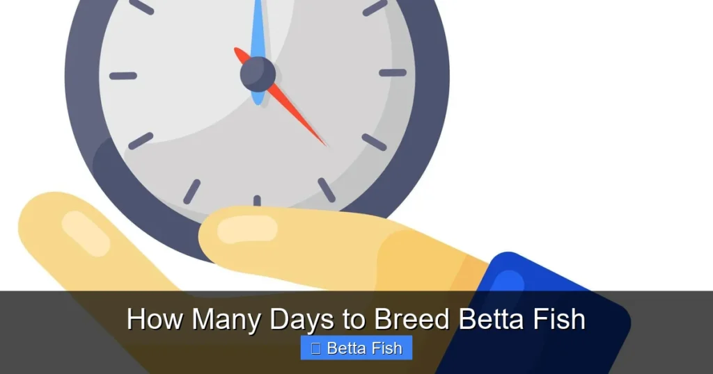 How Many Days to Breed Betta Fish