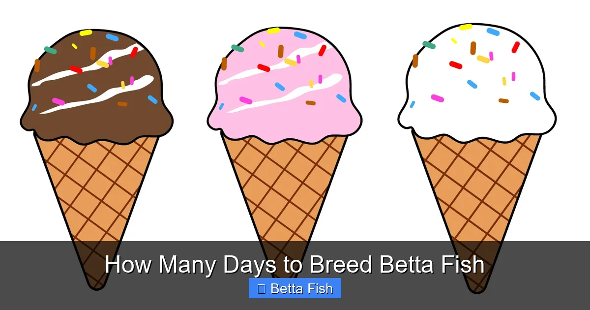 How Many Days to Breed Betta Fish