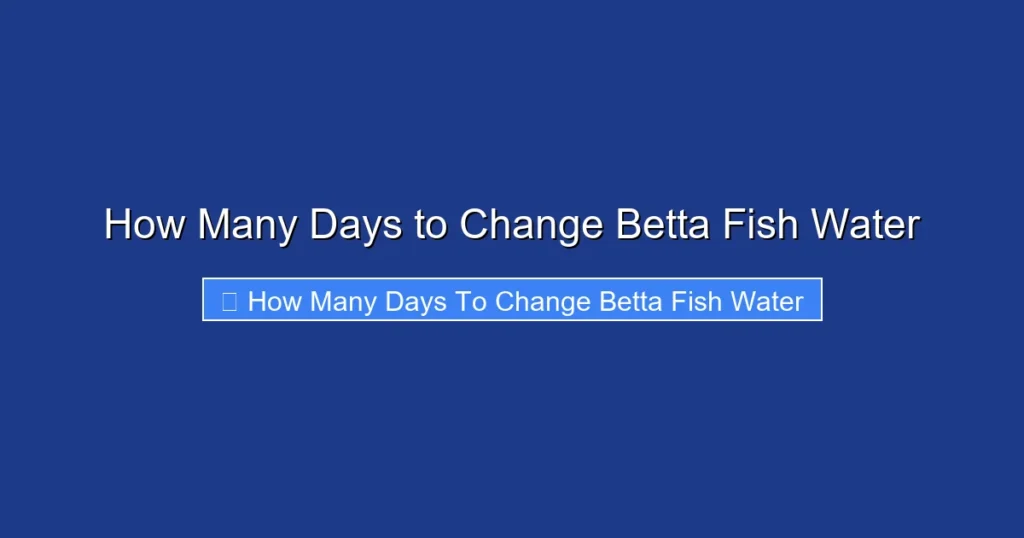 How Many Days to Change Betta Fish Water