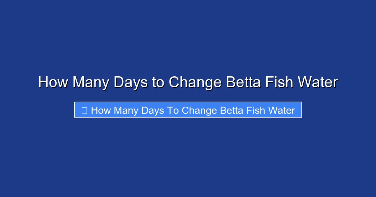 How Many Days to Change Betta Fish Water