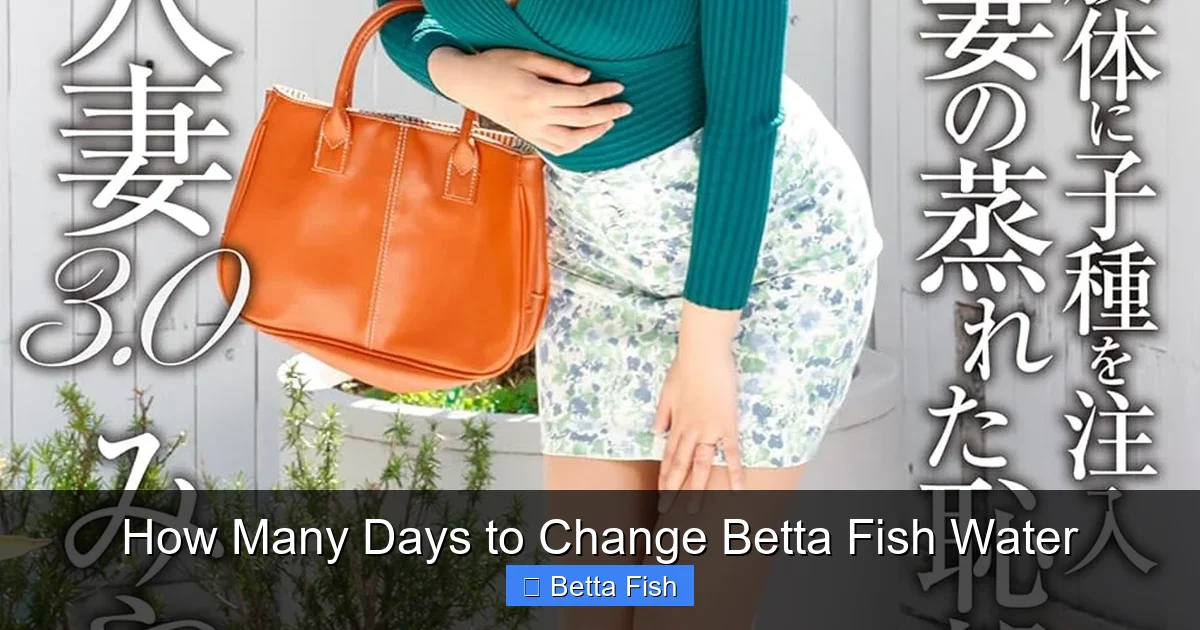 How Many Days to Change Betta Fish Water