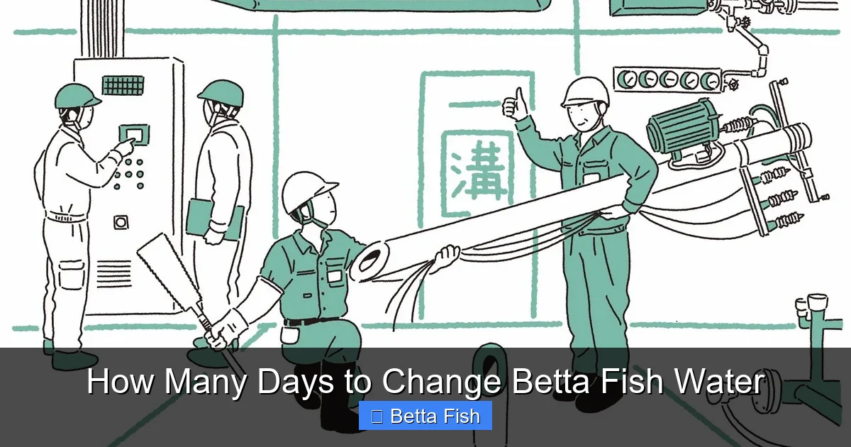How Many Days to Change Betta Fish Water