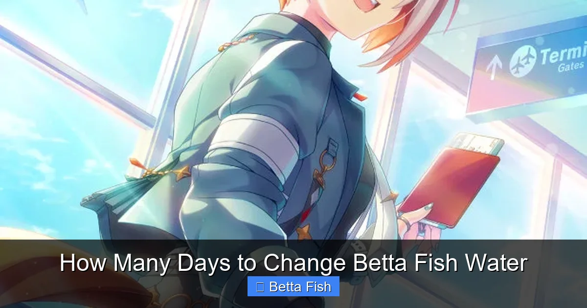 How Many Days to Change Betta Fish Water
