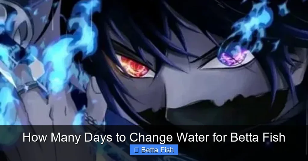 How Many Days to Change Water for Betta Fish
