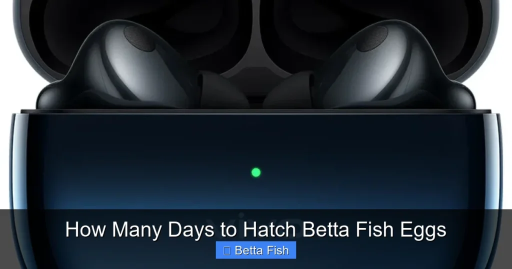 How Many Days to Hatch Betta Fish Eggs