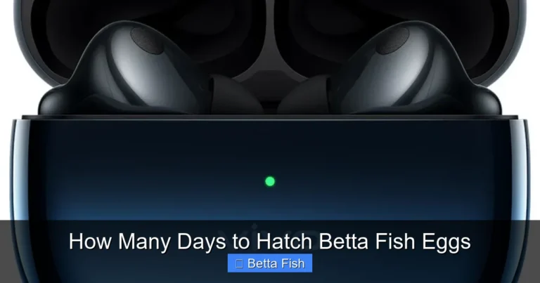 How Many Days to Hatch Betta Fish Eggs