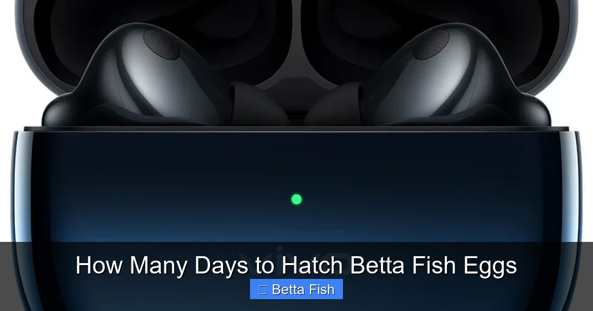How Many Days to Hatch Betta Fish Eggs