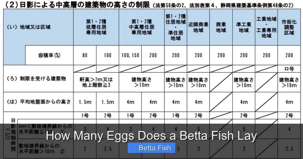 How Many Eggs Does a Betta Fish Lay