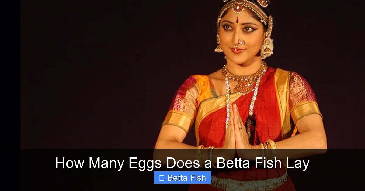 How Many Eggs Does a Betta Fish Lay